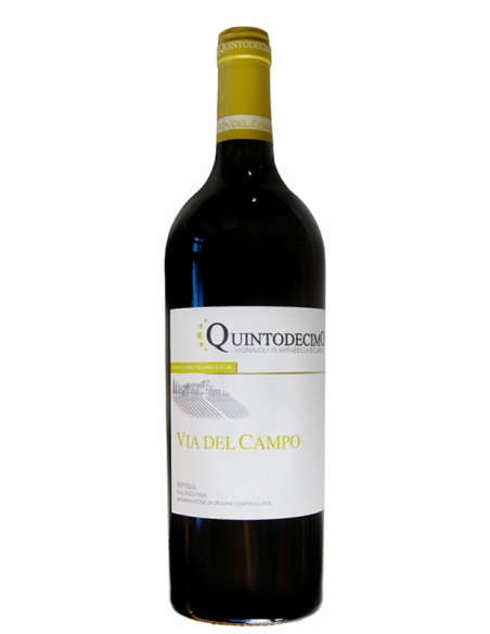 via del campo quintodecimo