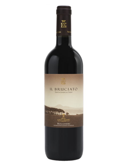 Bolgheri rosso "Il Bruciato" 2022