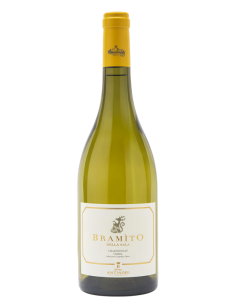Bramito 2023