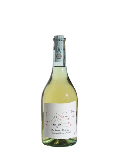 Moscato Romano Levi