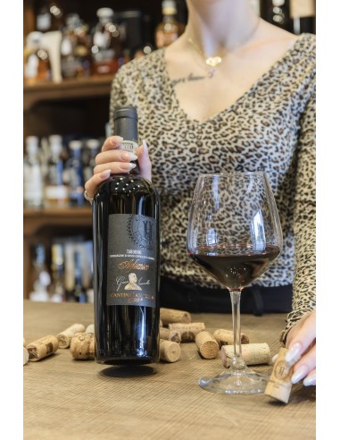 Aglianico del Taburno DOCG 2020 - Cantine Iannella