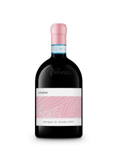 SANGUE DI GIUDA DELL’OLTREPÒ PAVESE D.O.C.