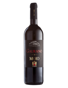 The adventure begins Framed poster