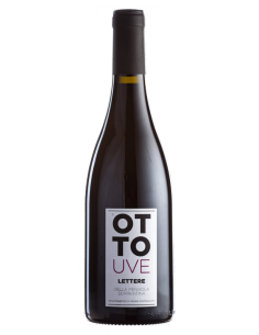 Hummingbird printed sweater