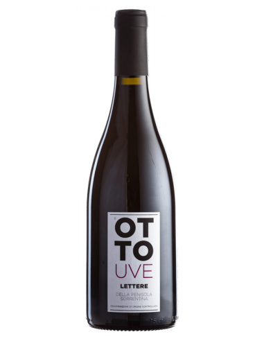 Hummingbird printed sweater