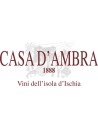 Casa D’Ambra